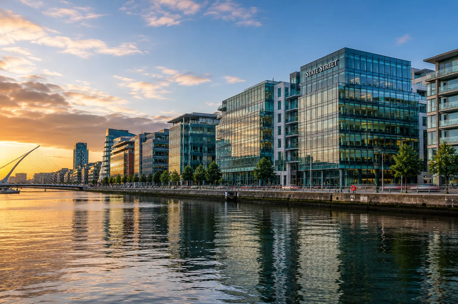 Irish Employment Law