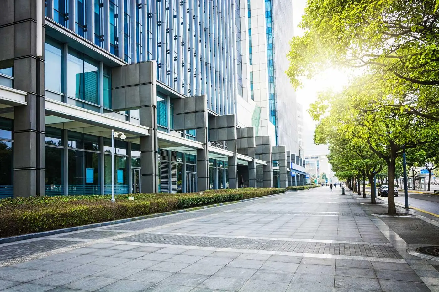 Setting up a Business in Ireland