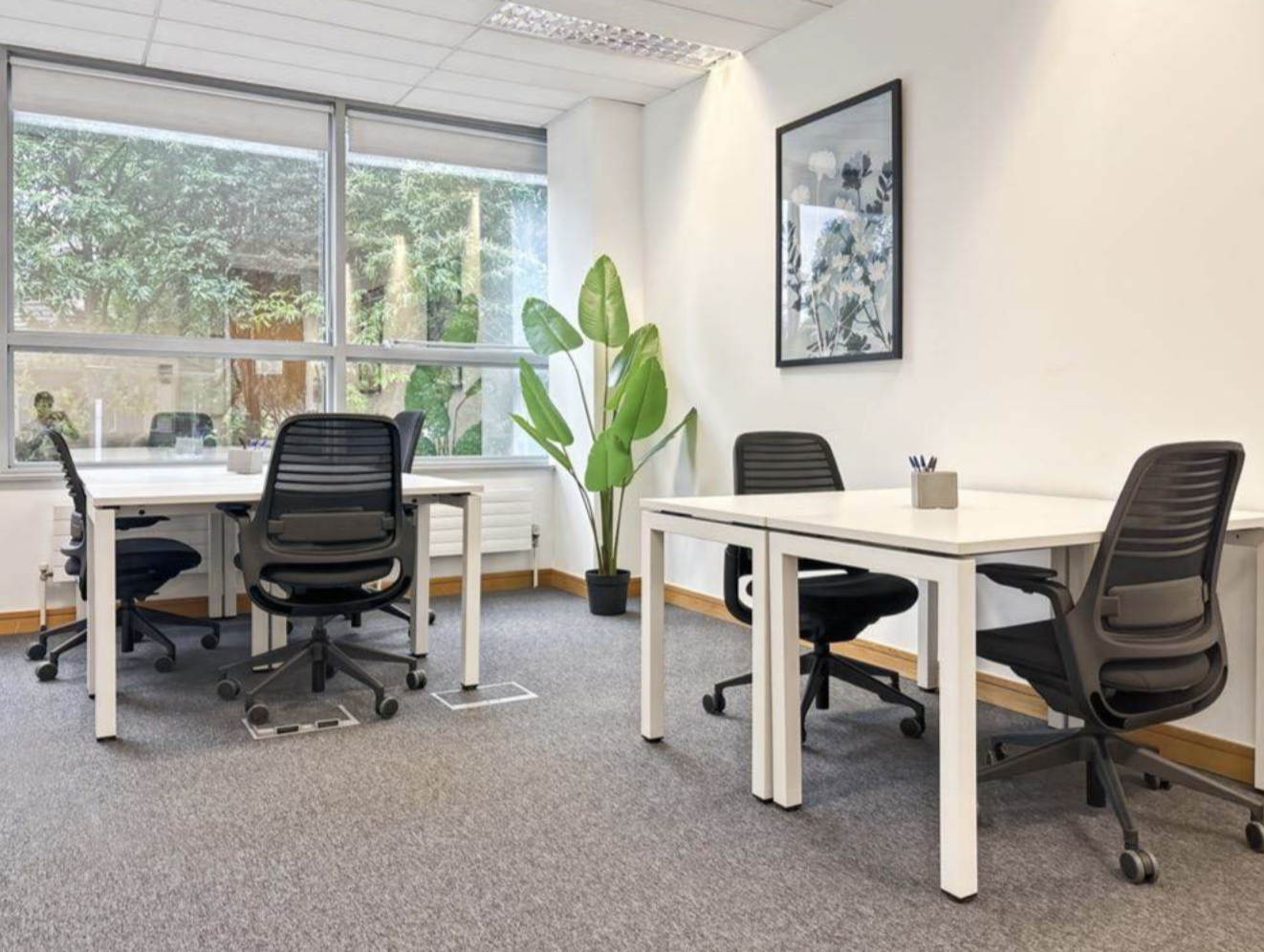 Alexandra House - Ballsbridge - G001
