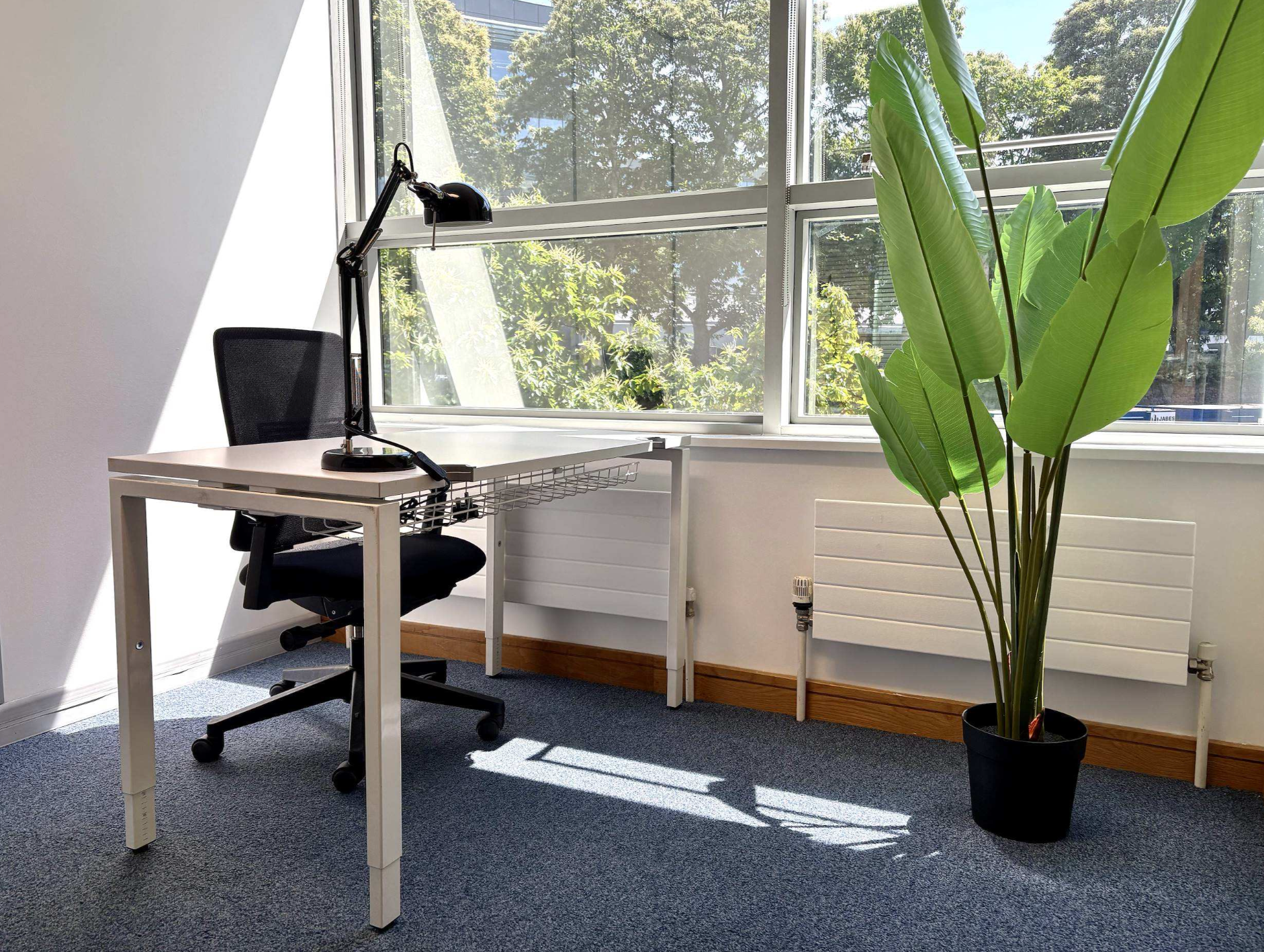 Alexandra House - Ballsbridge - Office G019