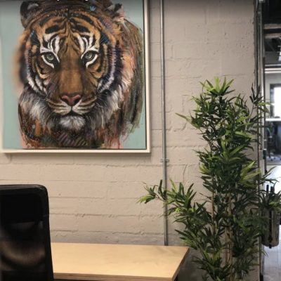 93 George's Street - Dun Laoghaire - Office FF01