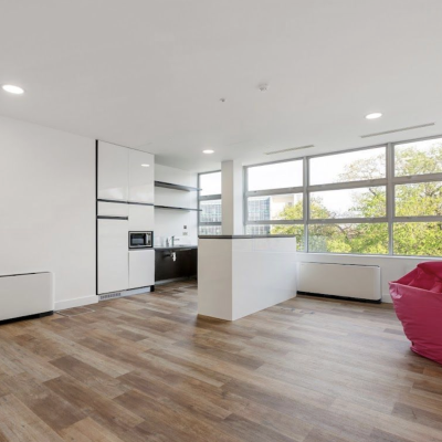 Icon House - South County Business Park - Leopardstown
